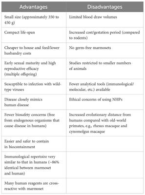 Marmosets as models of infectious diseases